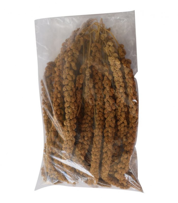 ShopBB Mall: SUNFRESH Spray Millet 1LB 