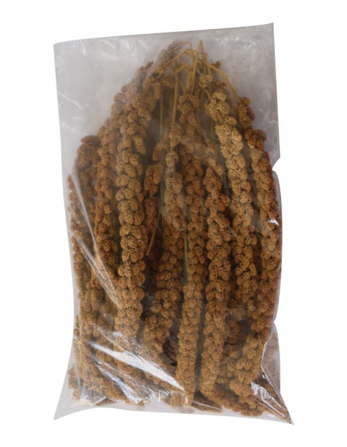 ShopBB Mall: SUNFRESH Spray Millet 1LB