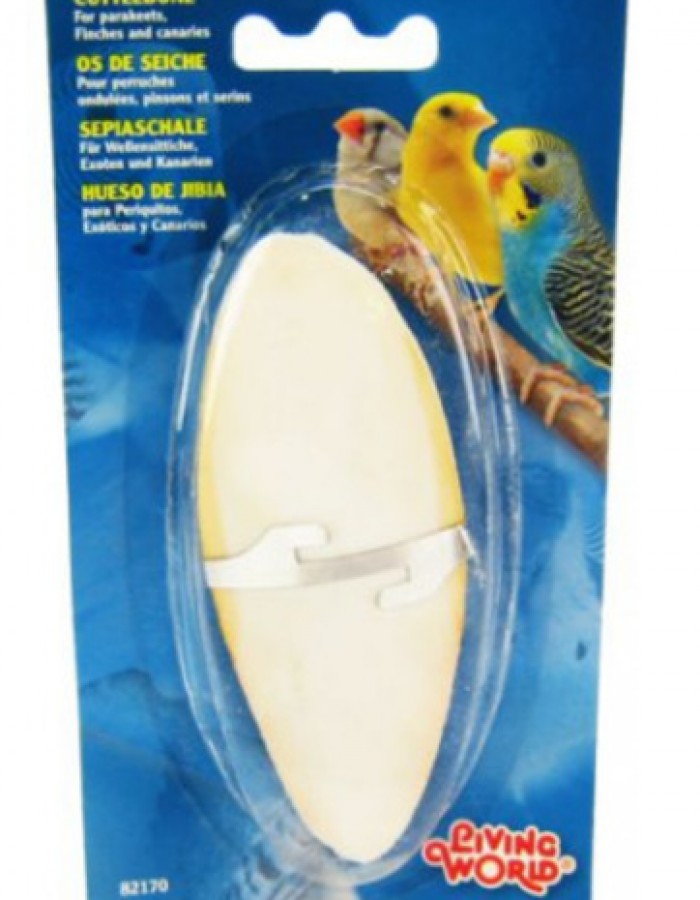 ShopBB Mall: CUTTLEBONE LARGE